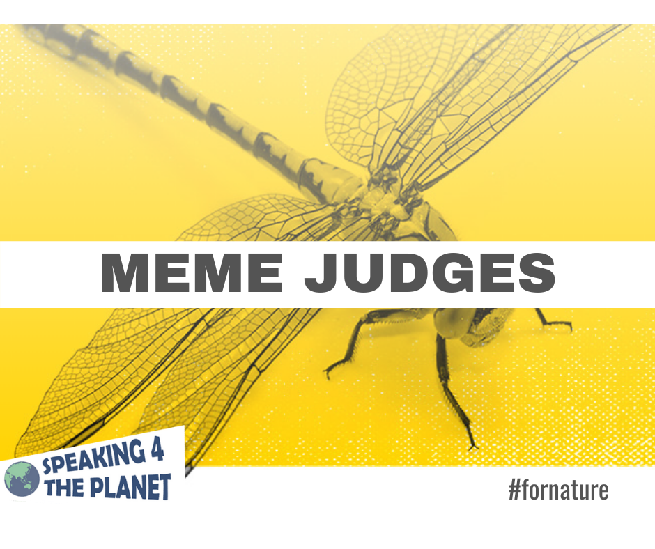 Meme Judges