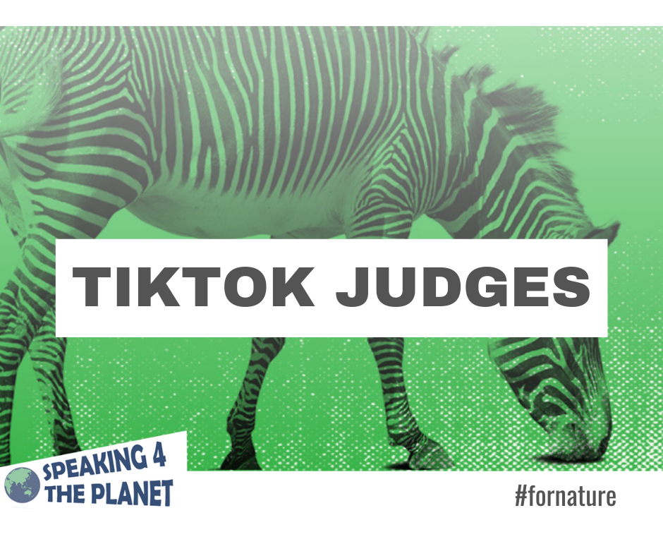 TikTok Judges